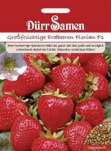 Kindersorte Erdbeeren Florian F1 Dürr Samen 