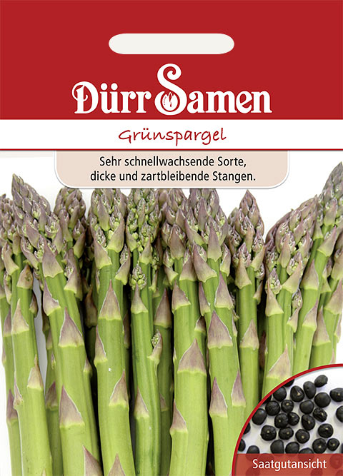 bambus wie oft düngen Bambus Dünger Flora Boost für gesunde und prächtige Bambuspflanzen