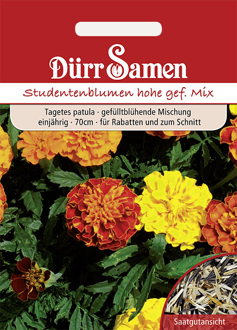 Tagetes/Studentenblumen - Dürr Samen Webshop