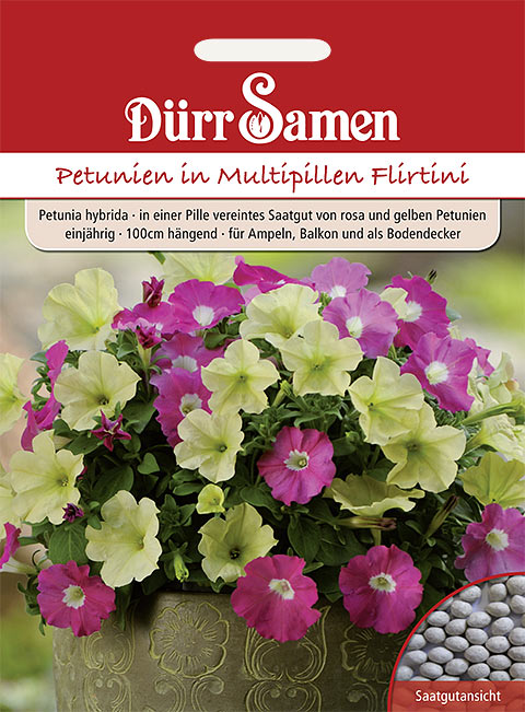 Petunien 'Multipille Flirtini', einjährig, 40cm Dürr Samen