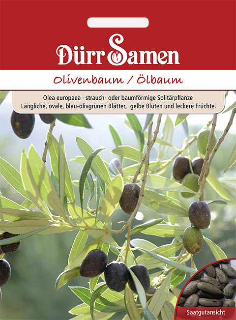 Olivenbaum/lbaum - Drr Samen Webshop